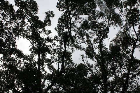 IMG_4098.JPG
