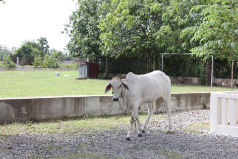 IMG_1850.JPG