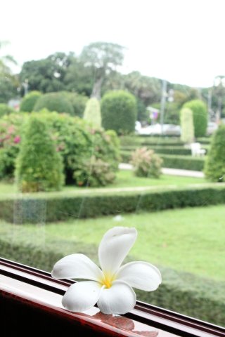 IMG_4118.JPG