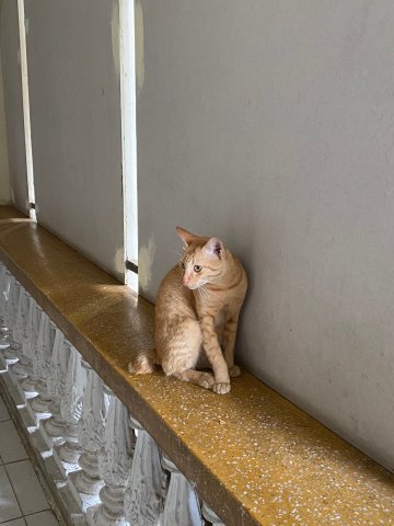 KakaoTalk_20250811_174722256_16.jpg