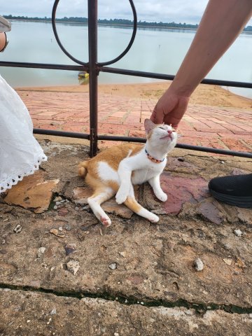 KakaoTalk_20250816_133226318_06.jpg