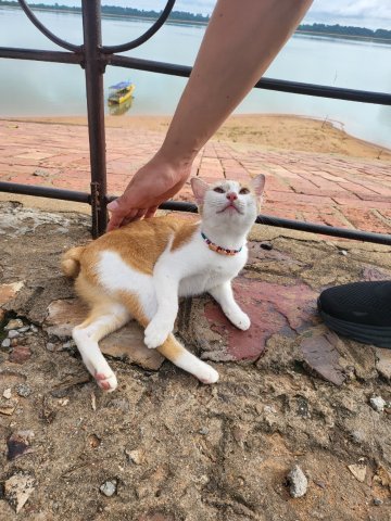 KakaoTalk_20250816_133226318_07.jpg