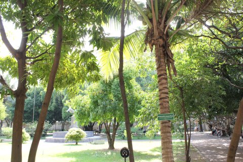 IMG_1591.JPG