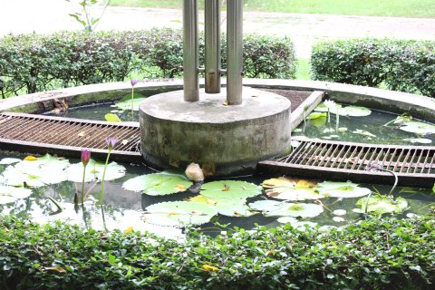 IMG_1610.JPG
