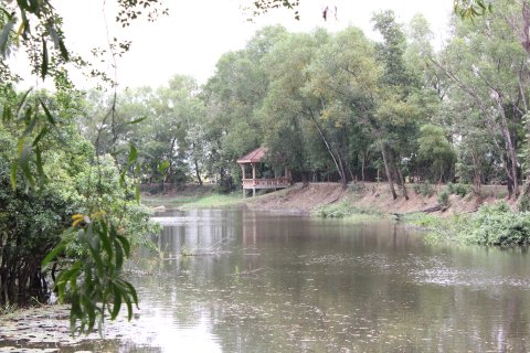 IMG_1629.JPG