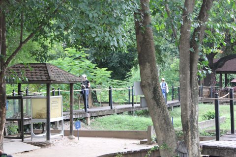 IMG_1632.JPG