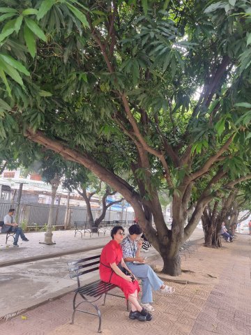 KakaoTalk_20250812_014107391_02.jpg