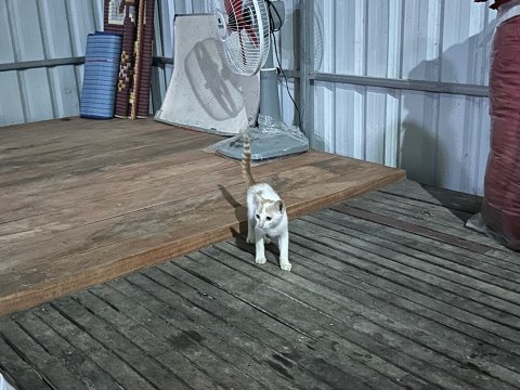KakaoTalk_20250815_194138009_18.jpg