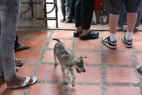 IMG_1977.JPG