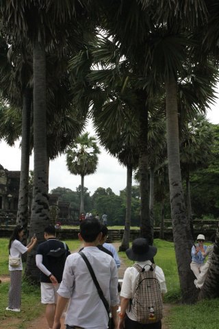 IMG_3541.JPG