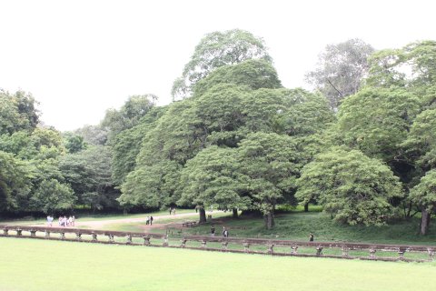 IMG_3599.JPG