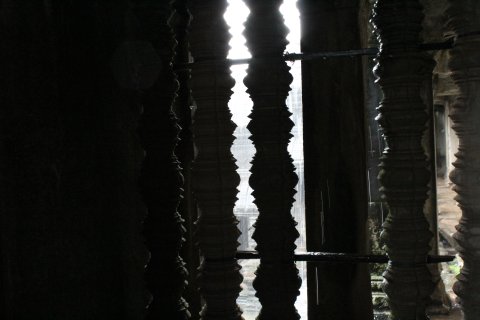 IMG_3768.JPG