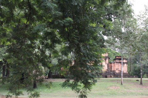 IMG_3865.JPG