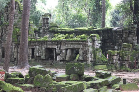 IMG_3874.JPG