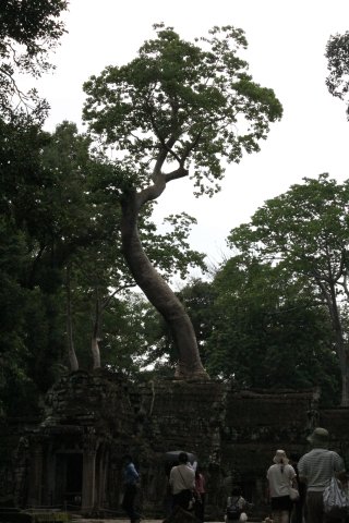 IMG_3878.JPG