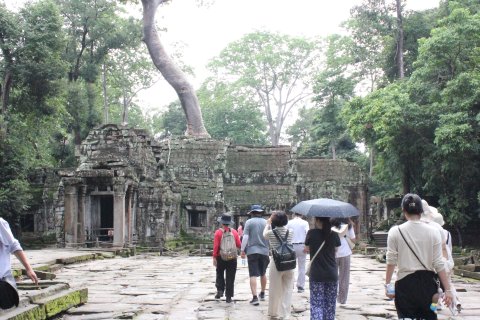 IMG_3882.JPG