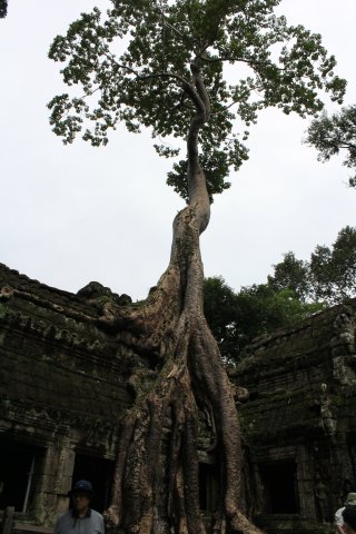 IMG_3890.JPG