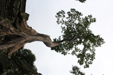 IMG_3892.JPG
