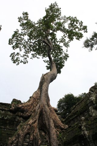IMG_3893.JPG