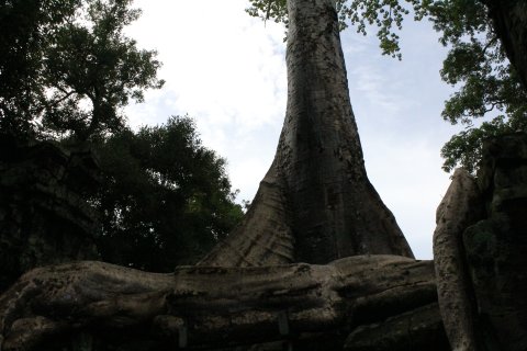 IMG_3902.JPG