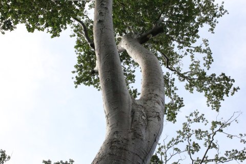IMG_3919.JPG