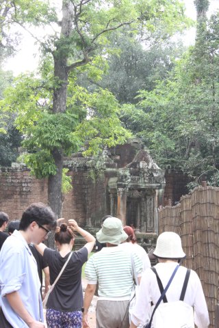 IMG_3922.JPG