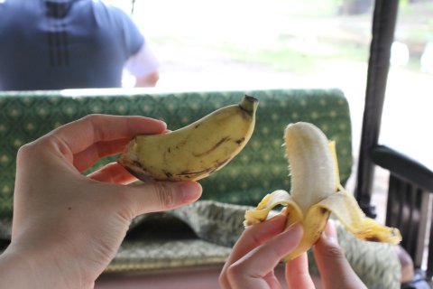 IMG_3956.JPG