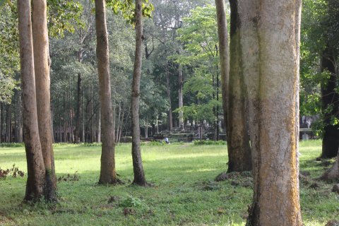 IMG_3968.JPG