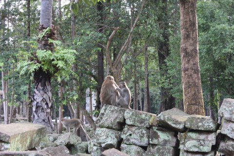 IMG_4036.JPG