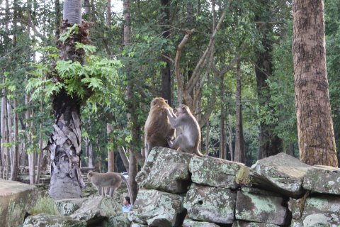 IMG_4037.JPG