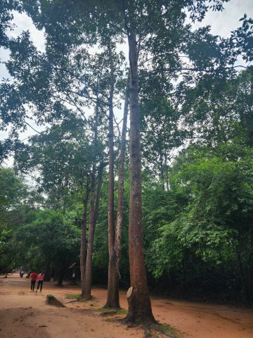 KakaoTalk_20250815_202152608.jpg