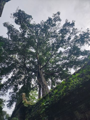 KakaoTalk_20250816_135223242_01.jpg